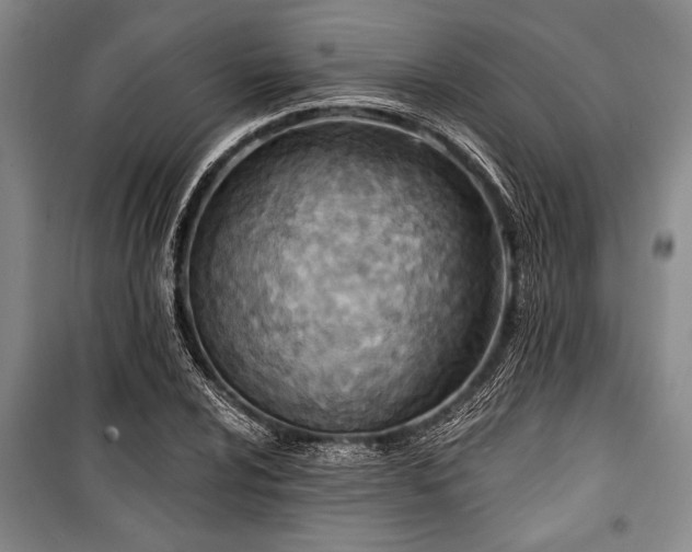 X0000101141024200806270915