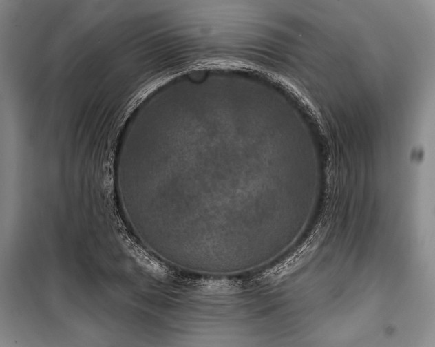 X0000101141025200806270915