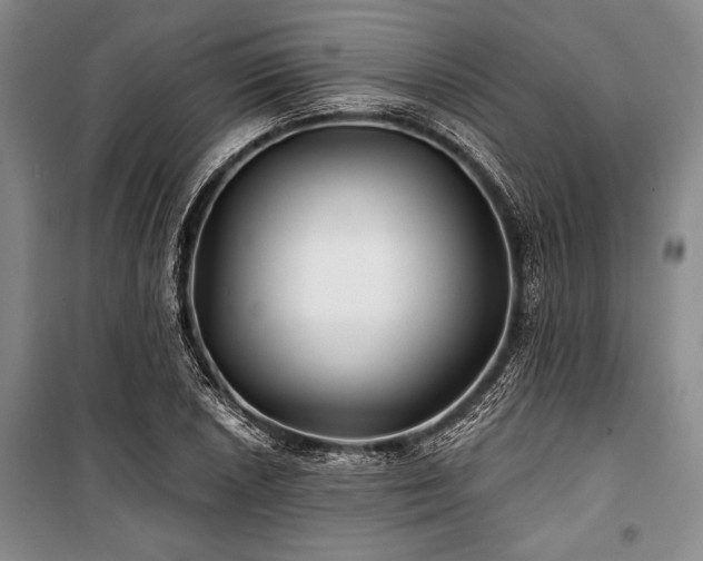 X0000101141026200806270915