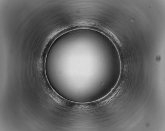 X0000101141027200806270915