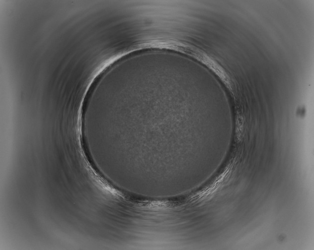 X0000101141028200806270915