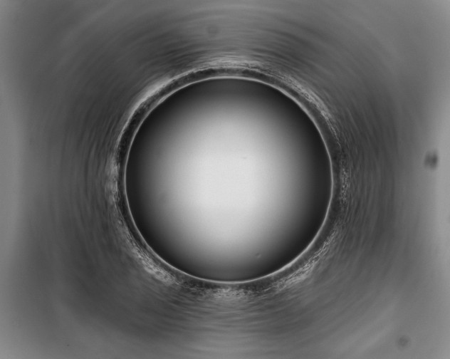 X0000101141029200806270915