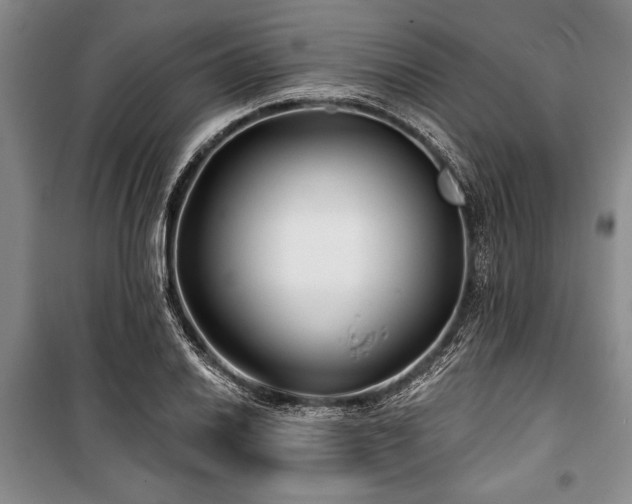 X0000101141030200806270915