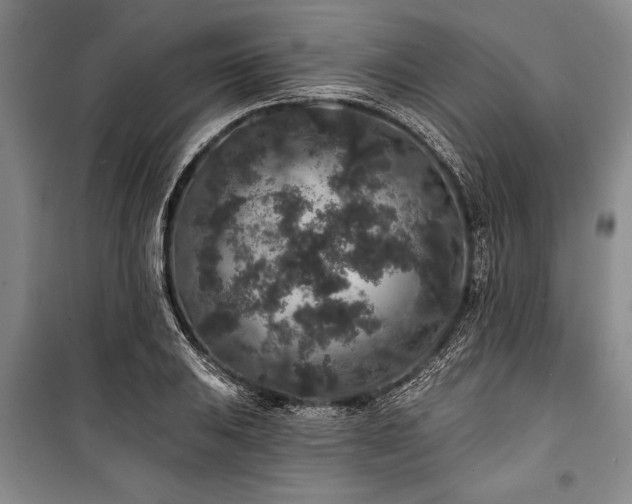 X0000101141031200806270915