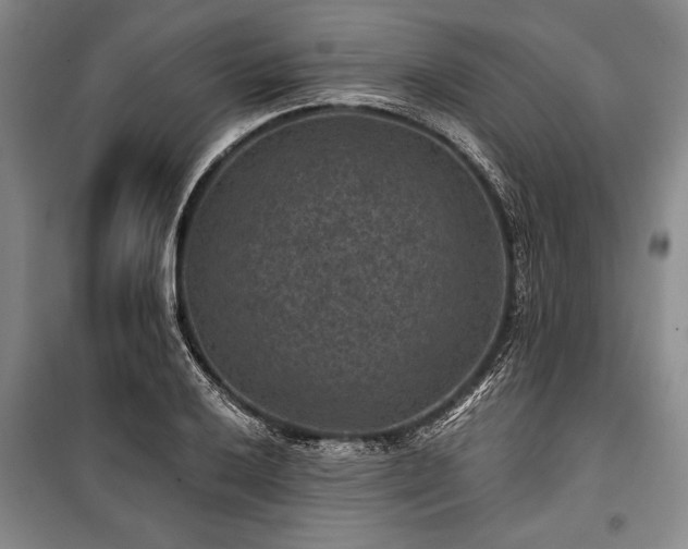 X0000101141032200806270915