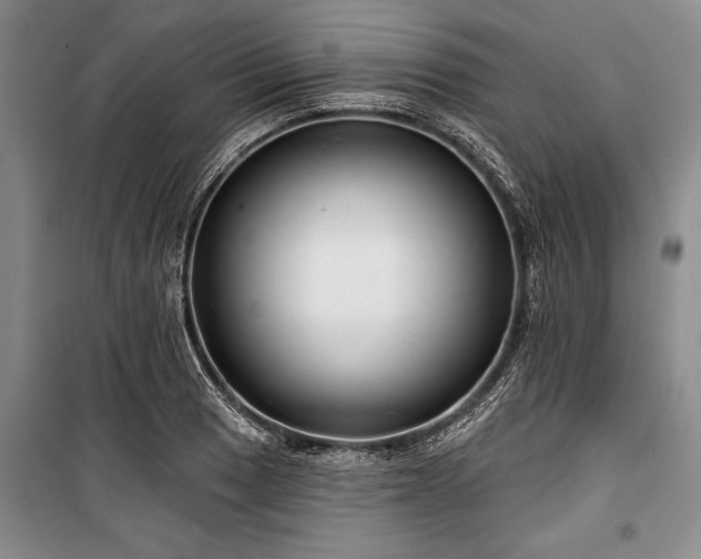 X0000101141033200806270915