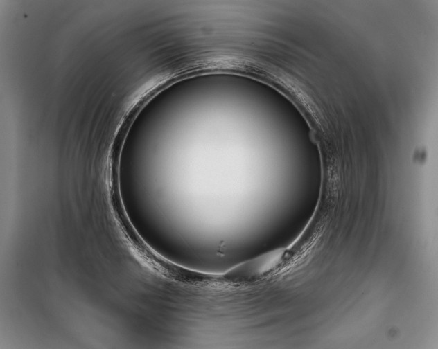 X0000101141034200806270915