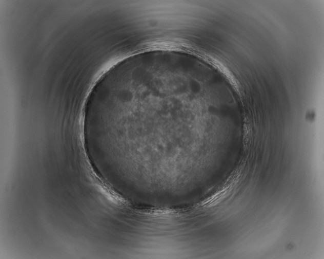 X0000101141035200806270915