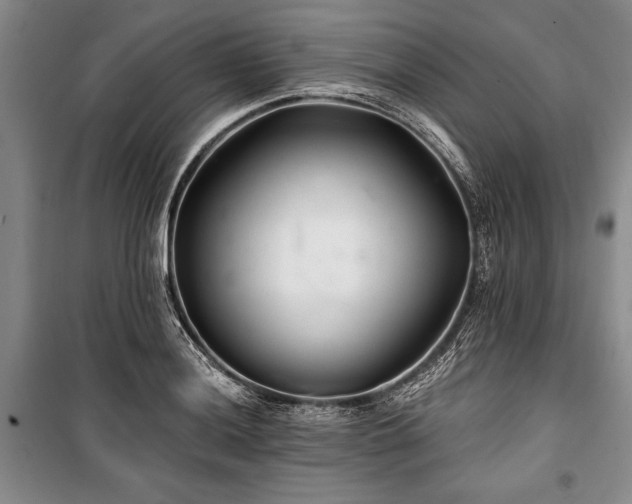 X0000101141036200806270915