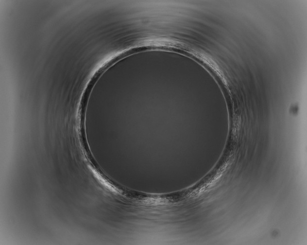 X0000101141037200806270915