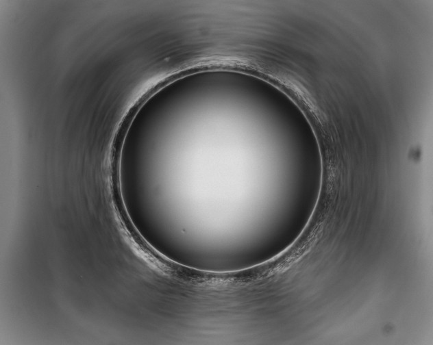 X0000101141038200806270915