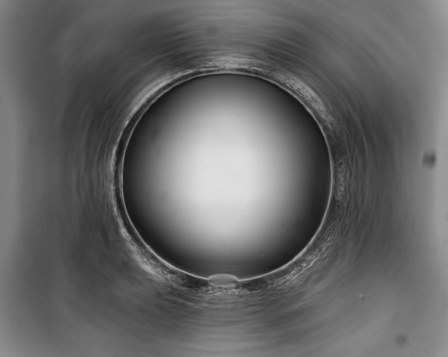 X0000101141039200806270915