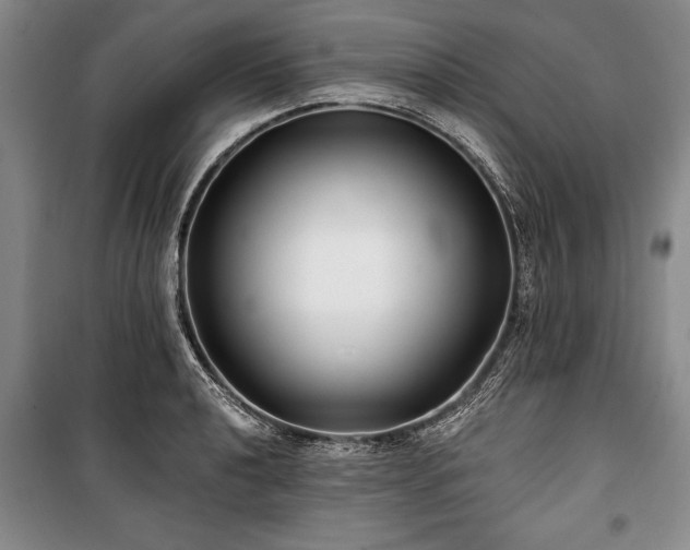 X0000101141040200806270915