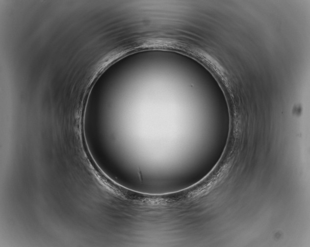 X0000101141041200806270915