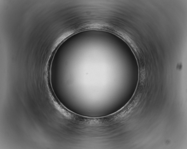 X0000101141042200806270915