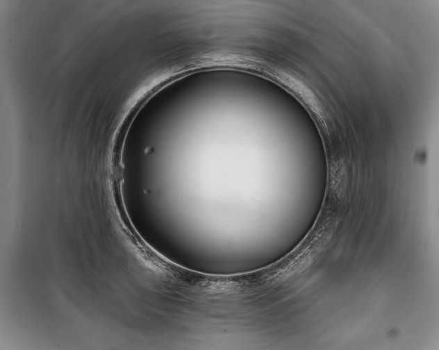 X0000101141043200806270915