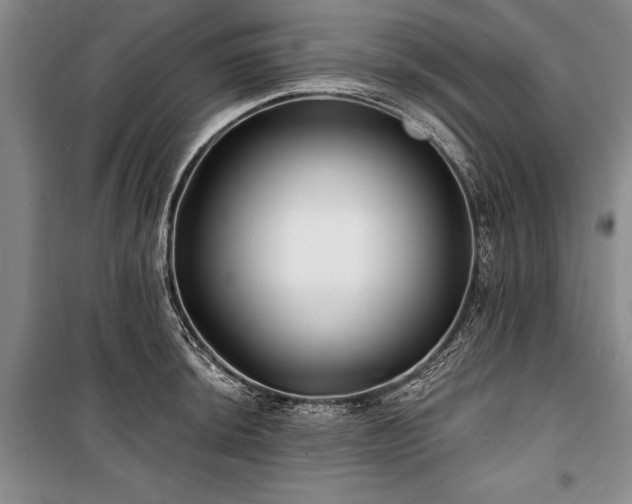 X0000101141044200806270915