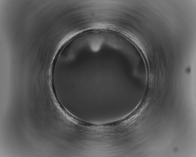 X0000101141045200806270915