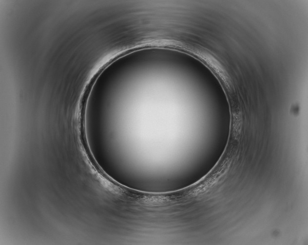 X0000101141046200806270915