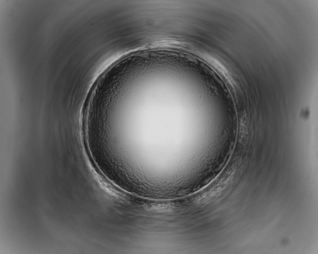 X0000101141047200806270915