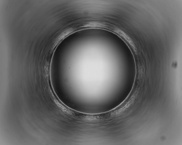 X0000101141049200806270915