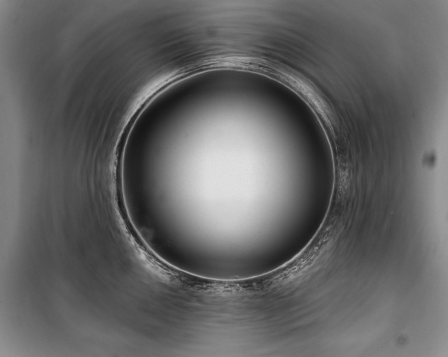 X0000101141050200806270915