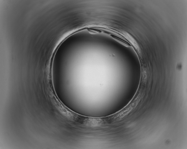 X0000101141052200806270915