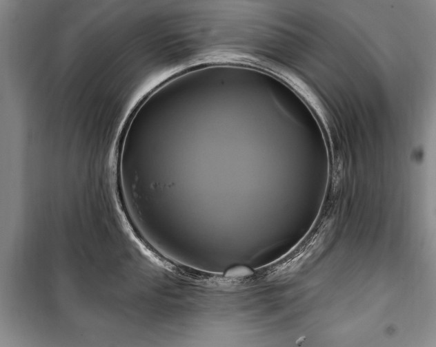 X0000101141053200806270915