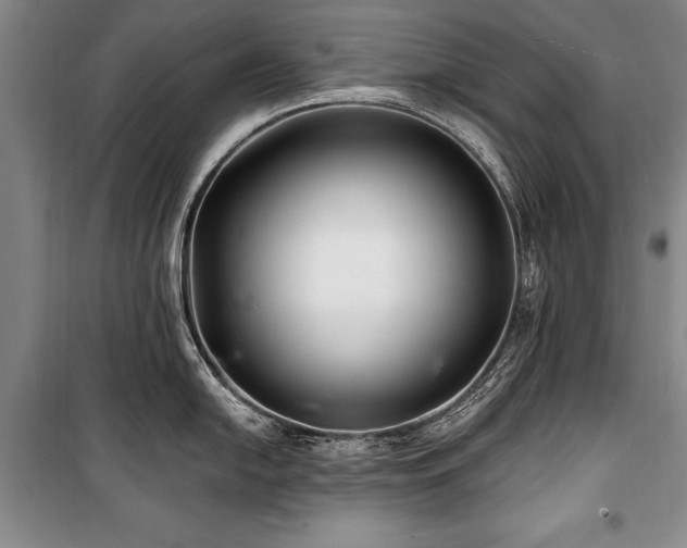 X0000101141054200806270915