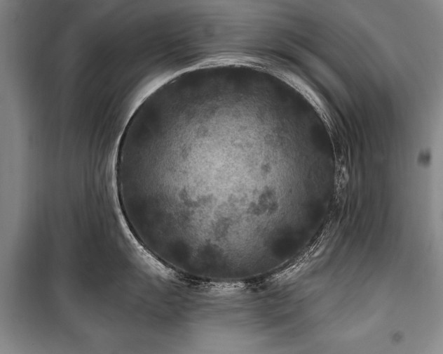 X0000101141055200806270915