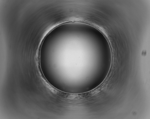 X0000101141056200806270915