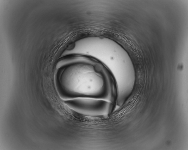 X0000101141057200806270914