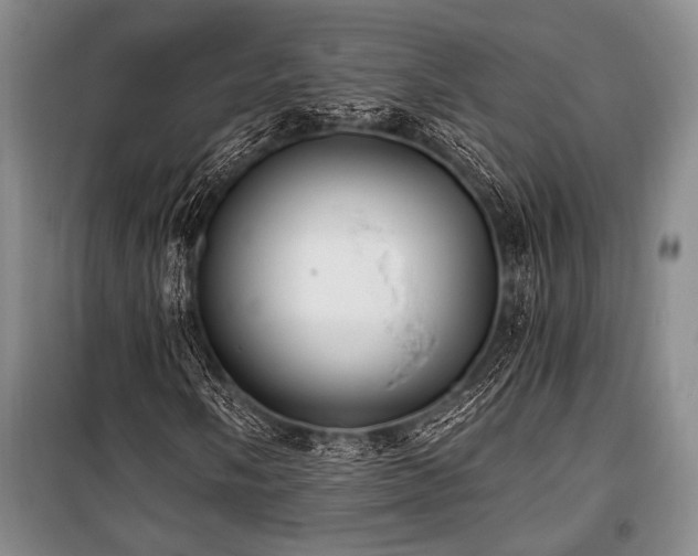 X0000101141058200806270914