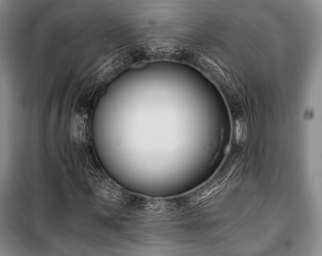 X0000101141059200806270914