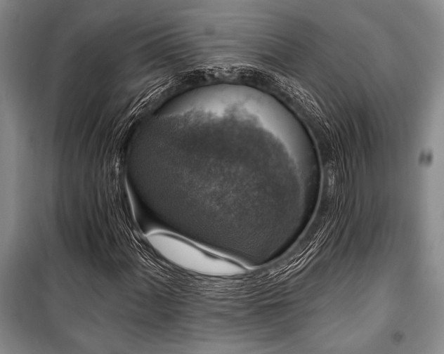 X0000101141060200806270914