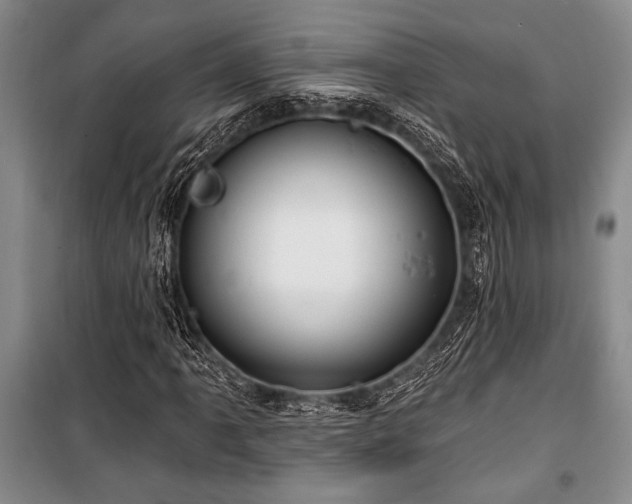 X0000101141061200806270914