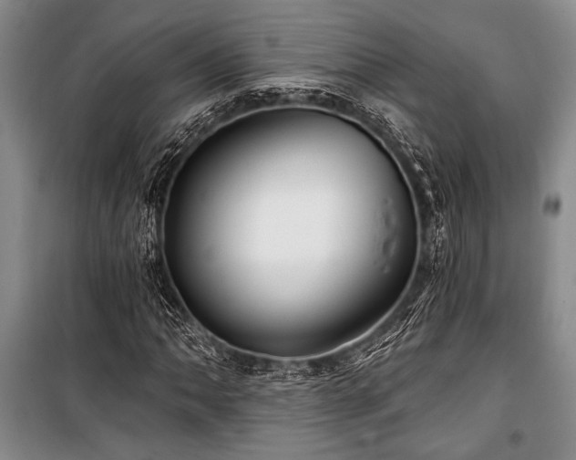 X0000101141062200806270914