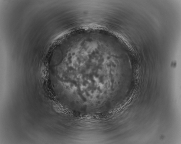 X0000101141063200806270914