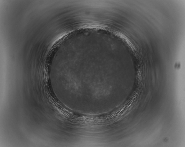 X0000101141064200806270914