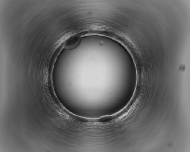 X0000101141065200806270914