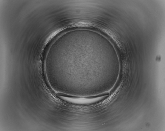 X0000101141066200806270914