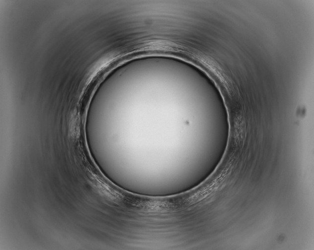 X0000101141067200806270914