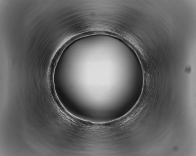 X0000101141068200806270914