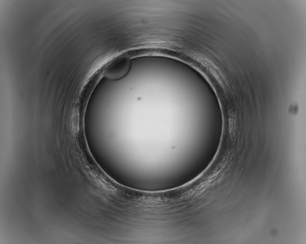 X0000101141069200806270914