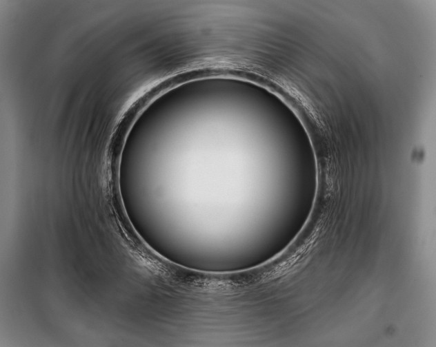 X0000101141070200806270914