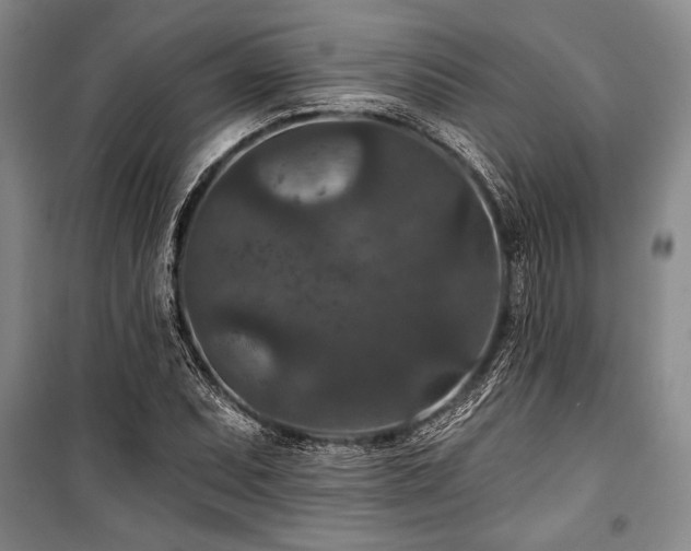 X0000101141071200806270914