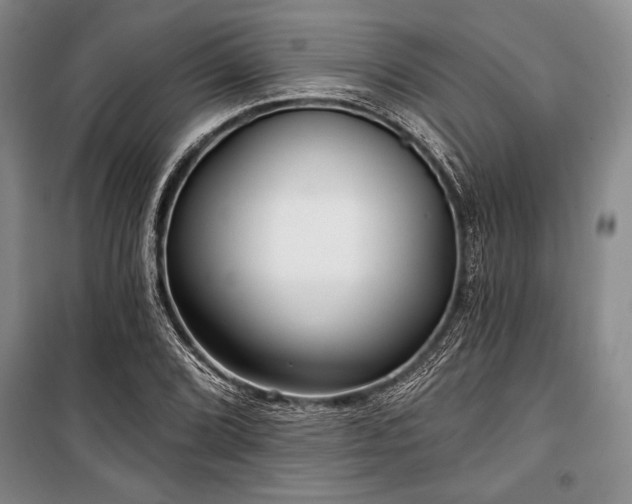 X0000101141072200806270914