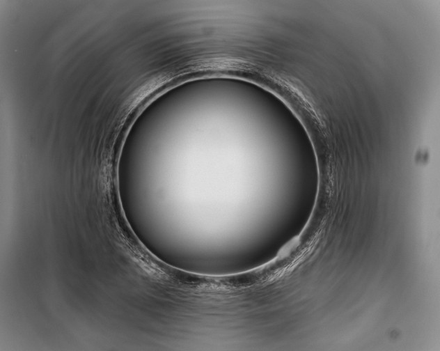 X0000101141073200806270914