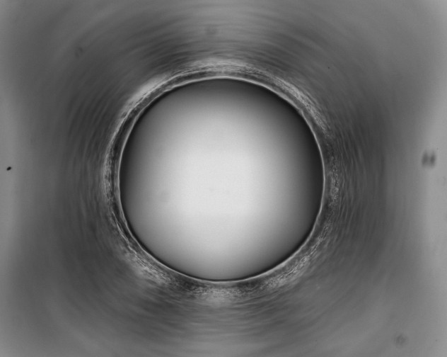 X0000101141074200806270914