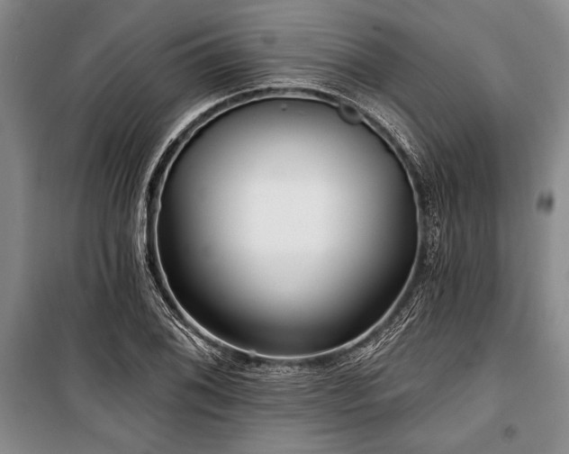 X0000101141076200806270914